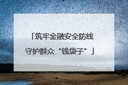 筑牢金融安全防线 守护群众“钱袋子”