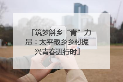 筑梦斛乡“青”力量：太平畈乡乡村振兴青春进行时