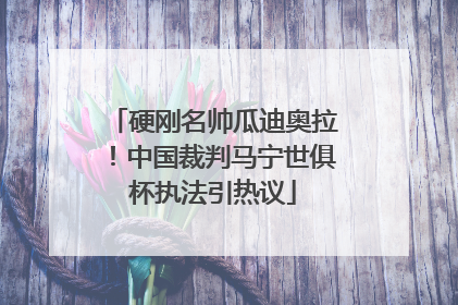 硬刚名帅瓜迪奥拉！中国裁判马宁世俱杯执法引热议