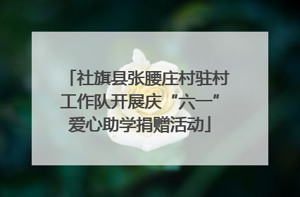 社旗县张腰庄村驻村工作队开展庆“六一”爱心助学捐赠活动