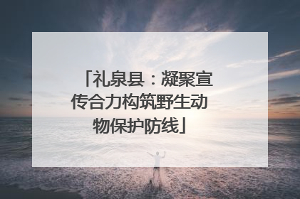 礼泉县：凝聚宣传合力构筑野生动物保护防线