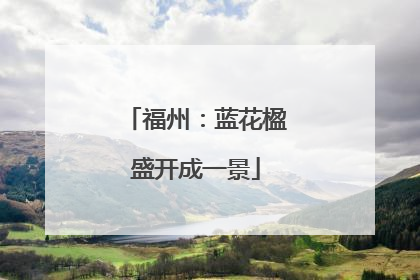 福州：蓝花楹盛开成一景
