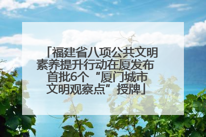 福建省八项公共文明素养提升行动在厦发布 首批6个“厦门城市文明观察点”授牌