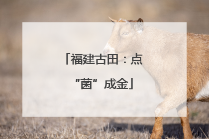 福建古田：点“菌”成金