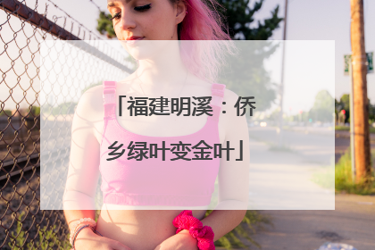 福建明溪：侨乡绿叶变金叶