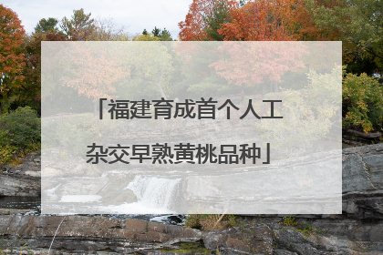 福建育成首个人工杂交早熟黄桃品种