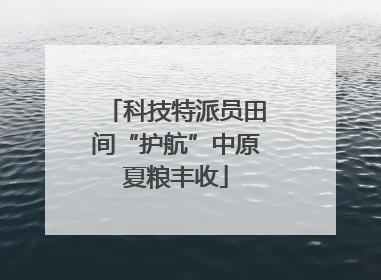 科技特派员田间“护航”中原夏粮丰收