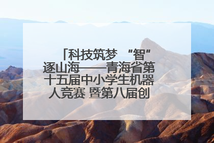 科技筑梦 “智”逐山海——青海省第十五届中小学生机器人竞赛 暨第八届创新设计大赛见闻