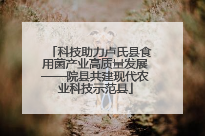 科技助力卢氏县食用菌产业高质量发展——院县共建现代农业科技示范县