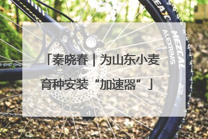 秦晓春｜为山东小麦育种安装“加速器”