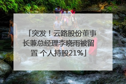 突发！云路股份董事长兼总经理李晓雨被留置 个人持股21%