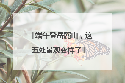 端午登岳麓山，这五处景观变样了