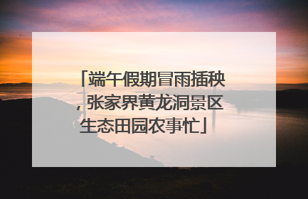 端午假期冒雨插秧，张家界黄龙洞景区生态田园农事忙