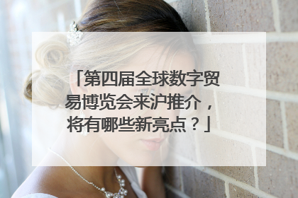 第四届全球数字贸易博览会来沪推介，将有哪些新亮点？