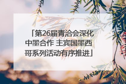 第26届青洽会深化中墨合作 主宾国墨西哥系列活动有序推进