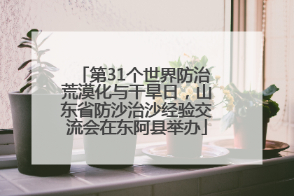 第31个世界防治荒漠化与干旱日，山东省防沙治沙经验交流会在东阿县举办