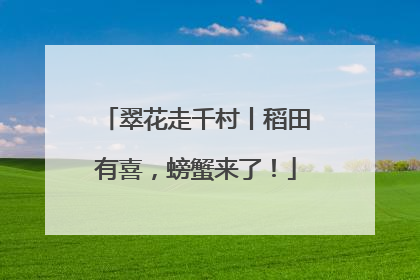 翠花走千村丨稻田有喜，螃蟹来了！