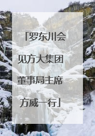 罗东川会见方大集团董事局主席方威一行