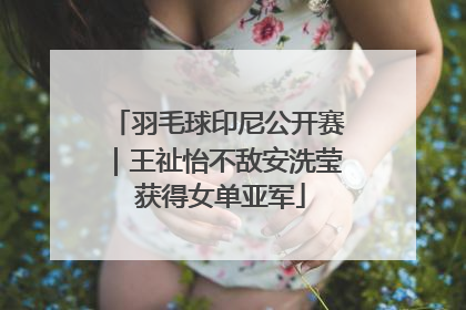 羽毛球印尼公开赛｜王祉怡不敌安洗莹 获得女单亚军