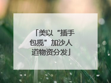 美以“插手包揽”加沙人道物资分发