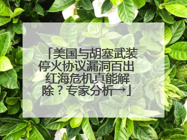 美国与胡塞武装停火协议漏洞百出 红海危机真能解除？专家分析→