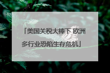 美国关税大棒下 欧洲多行业恐陷生存危机