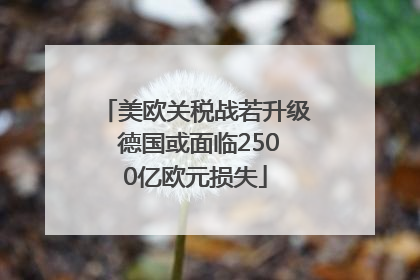 美欧关税战若升级 德国或面临2500亿欧元损失