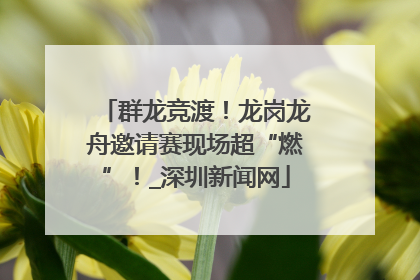 群龙竞渡！龙岗龙舟邀请赛现场超“燃”！_深圳新闻网
