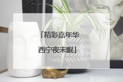 精彩嘉年华 西宁夜未眠