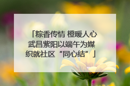 粽香传情 橙暖人心 武昌紫阳以端午为媒织就社区“同心结”