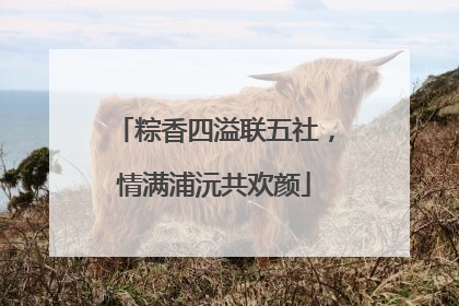 粽香四溢联五社，情满浦沅共欢颜
