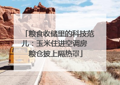 粮食收储里的科技范儿：玉米住进空调房 粮仓披上隔热罩