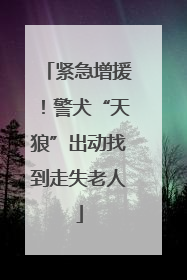 紧急增援！警犬“天狼”出动找到走失老人