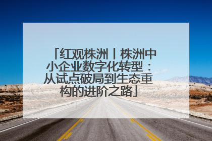 红观株洲丨株洲中小企业数字化转型：从试点破局到生态重构的进阶之路