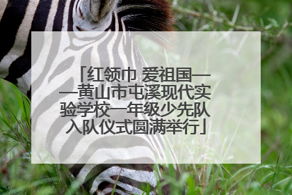 红领巾 爱祖国——黄山市屯溪现代实验学校一年级少先队入队仪式圆满举行