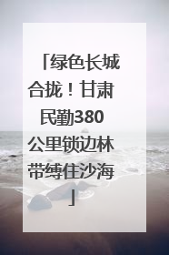 绿色长城合拢！甘肃民勤380公里锁边林带缚住沙海