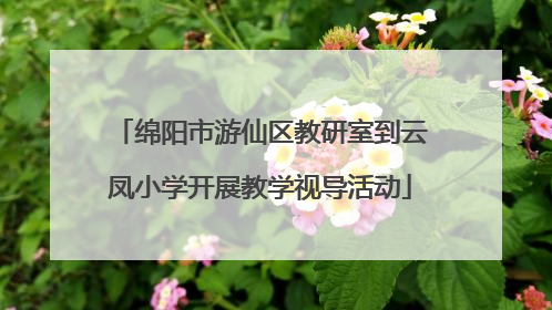绵阳市游仙区教研室到云凤小学开展教学视导活动