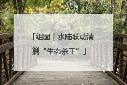 组图｜水陆联动清剿“生态杀手”