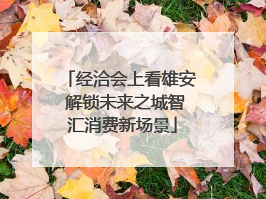 经洽会上看雄安 解锁未来之城智汇消费新场景
