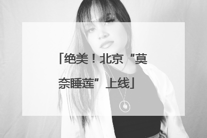 绝美！北京“莫奈睡莲”上线