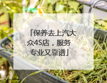 保养去上汽大众4S店，服务专业又靠谱
