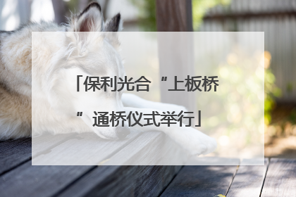 保利光合“上板桥”通桥仪式举行