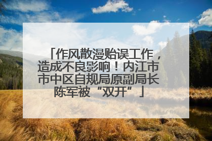 作风散漫贻误工作，造成不良影响！内江市市中区自规局原副局长陈军被“双开”