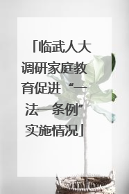 临武人大调研家庭教育促进“一法一条例”实施情况