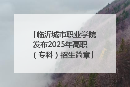 临沂城市职业学院发布2025年高职（专科）招生简章