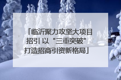 临沂聚力攻坚大项目招引 以“三重突破”打造招商引资新格局
