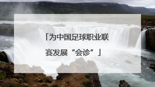 为中国足球职业联赛发展“会诊”