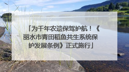 为千年农遗保驾护航！《丽水市青田稻鱼共生系统保护发展条例》正式施行