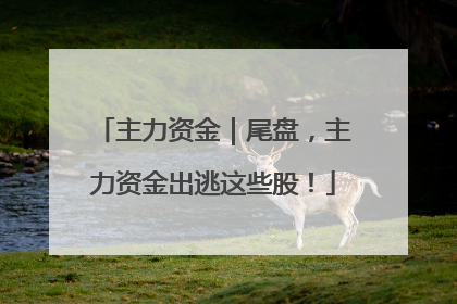 主力资金｜尾盘，主力资金出逃这些股！