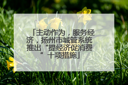 主动作为，服务经济，扬州市城管系统推出“提经济促消费”十项措施
